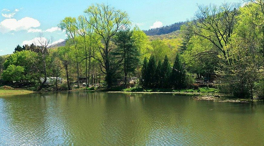 Reflection Riding Arboretum & Nature Center, United States